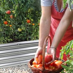 Aga Povišeni vrt 240x120x30 cm pocinčani čelik