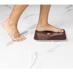 Cecotec Osobna vaga 4261 Surface Precision 10400