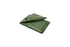 Ostatní Ploviti Euro tools 125180Q Covering sheet EKONOMIK, 2 x 3 m, 55 g/m?, green