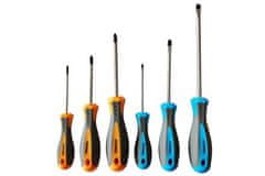 Enpro Odvijači 703450 Screwdrivers SET, 6 pcs, PH + flat, CrV