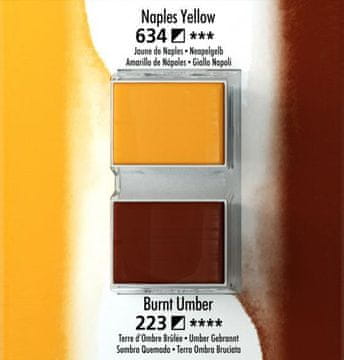 Daler Rowney Akvarel boja, Aquafine, set 2, kockeples yellow/burnt umber