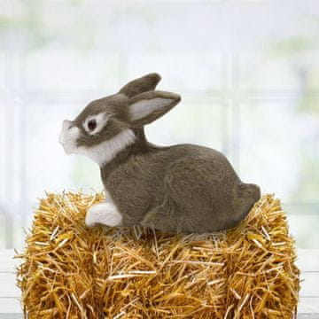 Rayher.	 Zac smeđ-siv, 6cm, premium kvalitet