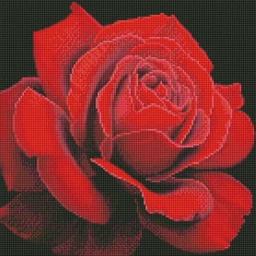 Rayher.	 Dijamantni mozaik, Red rose, 40x40 cm
