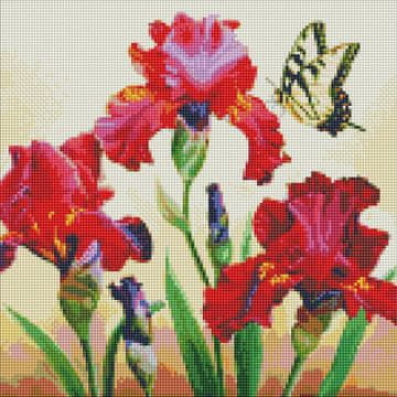 Rayher.	 Dijamantni mozaik, Exquisite irises, 40x40 cm