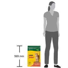 Friskies Adult suha hrana za mačke, govedina, piletina i povrće, 10 kg