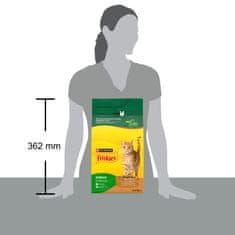 Friskies Indoor suha hrana za mačke, piletina, puretina i povrće, 6 x 1,5 kg