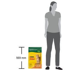 Friskies Adult suha hrana za mačke, piletina i povrće, 10 kg