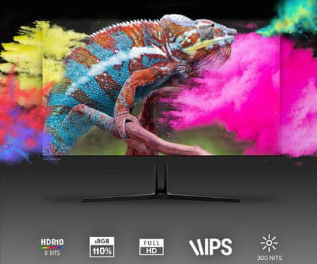 Thomson MONITOR 27“ Full HD