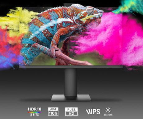 Thomson MONITOR 27“ Full HD