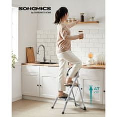 Songmics Sklopiva ljestve s 2 stepenice 455x82x55 cm siva