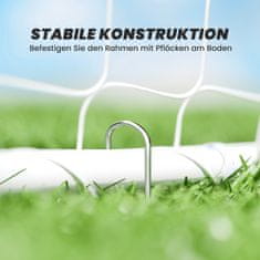 Homestar Nogometni gol 301x120x200 cm Bijeli