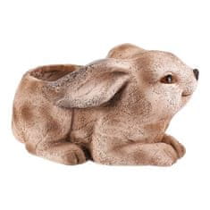 Autronic Pakiranje cvijeća Hare, magnezij, dekor drveta (MT790)