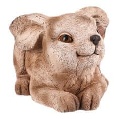 Autronic Pakiranje cvijeća Hare, magnezij, dekor drveta (MT790)