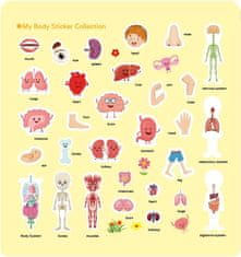 Netscroll Komplet edukativnih dječjih knjiga s naljepnicama, dijelovi tijela i karta svijeta, sklopiva knjiga s 3 preklopa, učenje engleskih riječi, SmartStickers.
