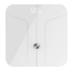 Cecotec Osobna vaga 4404 Surface Precision 970