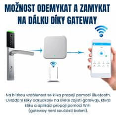BOT Pametna kvaka TTLock HM1 crno-srebrna 92 mm