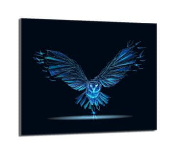 TMK Zaštitna ploča za stakleni štednjak 60x52 Bird