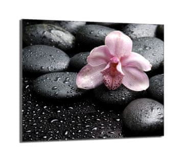 TMK Zaštitna staklena ploča za štednjak 60x52 Orchidea