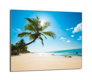 TMK Staklena zaštita za ploču za kuhanje 60x52 Beach