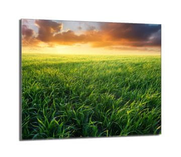 TMK Staklena zaštitna ploča za štednjak 60x52 Pogledajte