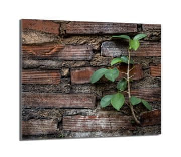 TMK Staklena zaštitna ploča za peć 60x52 Brick