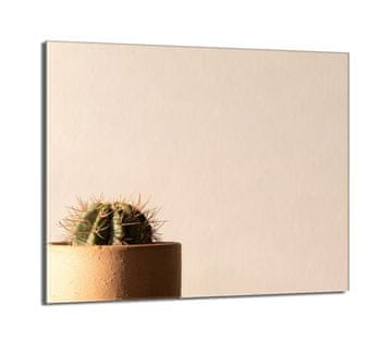 TMK Staklena zaštita za štednjak 60x52 Cactus