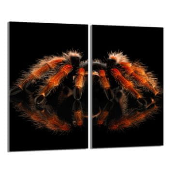 TMK Zaštitna staklena ploča za štednjak 2x30x52 Spider