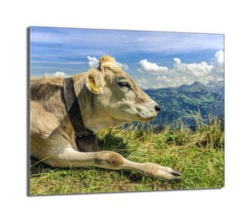 TMK Staklena zaštitna ploča za štednjak 60x52 Cow