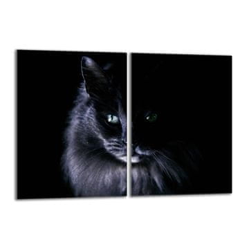 TMK Zaštitna staklena ploča za štednjak 2x40x52 Kat.