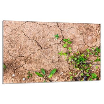 TMK Staklena zaštita za štednjak 80x52 Biljke