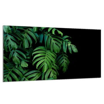 TMK Staklena zaštita za ploču za kuhanje 90x52 Monstera