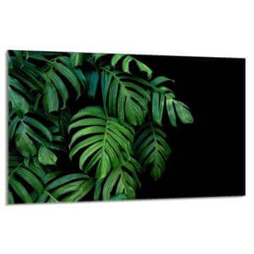 TMK Staklena zaštita za ploču za kuhanje 80x52 Monstera