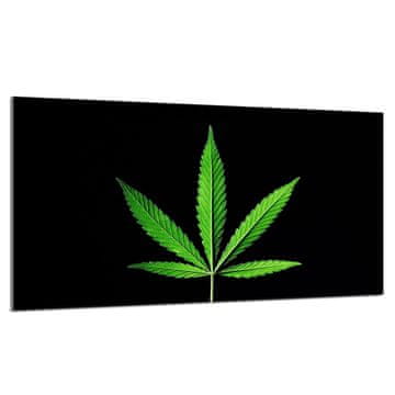 TMK Staklena zaštitna ploča za štednjak 90x52 Leaf