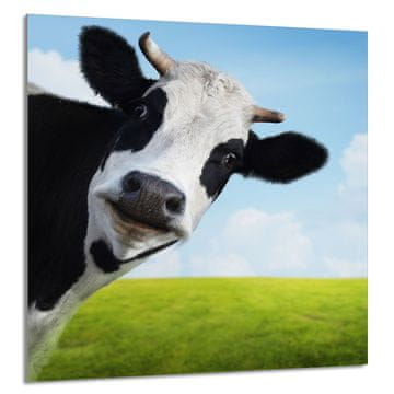 TMK STAKLENA PLOČA ZA KUHINJU 60x65 Cow