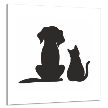 TMK STAKLENA PLOČA ZA KUHINJU 60x65 Životinje