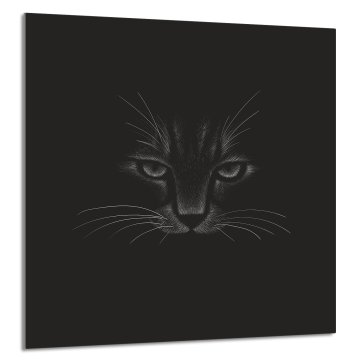 TMK STAKLENA PLOČA ZA KUHINJU 60x65 Mačka