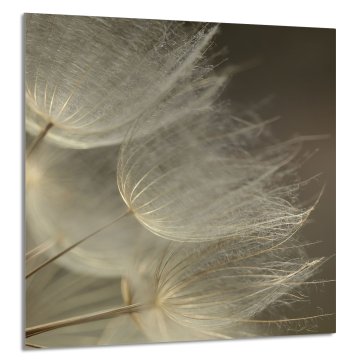 TMK STAKLENA PLOČA ZA KUHINJU 60x65 Cvijet