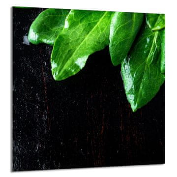 TMK STAKLENA PLOČA ZA KUHINJU 60x65 Bosiljak