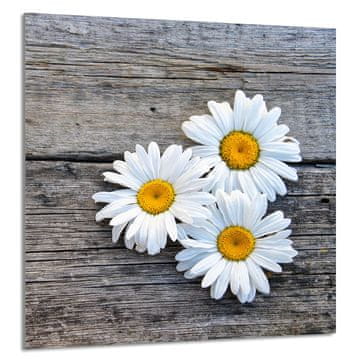 TMK STAKLENA PLOČA ZA KUHINJU 60x65 Daisy
