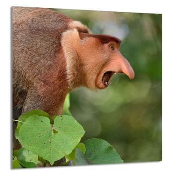 TMK STAKLENA PLOČA ZA KUHINJU 60x65 Nosacz