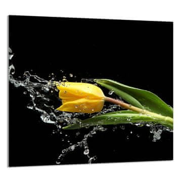 TMK STAKLENA PLOČA ZA KUHINJU 65x60 Tulip