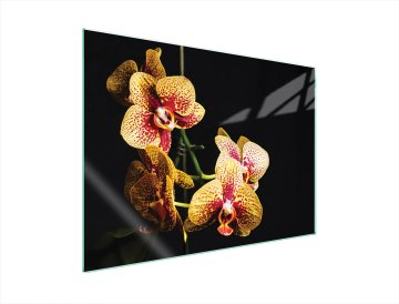 TMK ZAŠTITNA PLOČA OD STAKLA ZA ŠTEDNJAK 70x52 ORHIDEJA