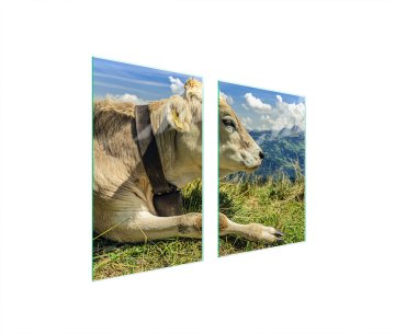 TMK ZAŠTITNA PLOČA OD STAKLA ZA KUHINJU 65x52 COW