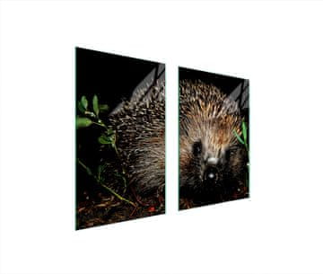 TMK ZAŠTITNA PLOČA OD STAKLA ZA KUHINJU 65x52 JEŽ