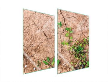 TMK ZAŠTITNA STAKLENA PLOČA ZA KUHINJU 2x35x52 BILJKE