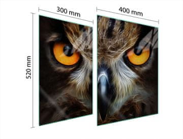 TMK ZAŠTITNA PLOČA OD STAKLA ZA ŠTEDNJAK 70x52 OWL
