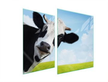 TMK ZAŠTITNA PLOČA OD STAKLA ZA ŠTEDNJAK 70x52 COW