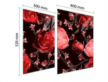 TMK ZAŠTITNA PLOČA OD STAKLA ZA ŠTEDNJAK 70x52 ROSES