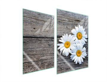TMK ZAŠTITNA PLOČA OD STAKLA ZA KUHINJU 2x35x52 DAISY