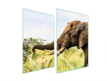 TMK ZAŠTITNA PLOČA OD STAKLA ZA KUHINJU 2x35x52 ELEPHANT